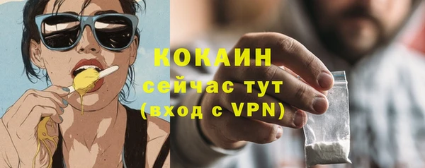 ешки Бронницы