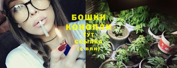 ГАЛЛЮЦИНОГЕННЫЕ ГРИБЫ Верхнеуральск