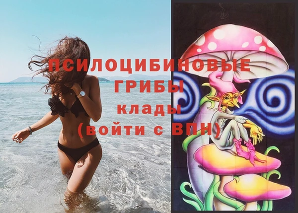 ГАЛЛЮЦИНОГЕННЫЕ ГРИБЫ Верхнеуральск