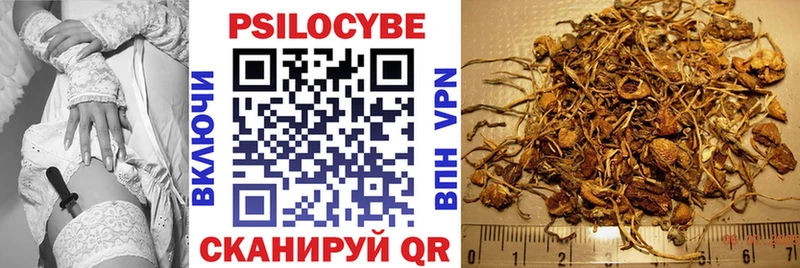 Псилоцибиновые грибы GOLDEN TEACHER  ОМГ ОМГ   Десногорск 